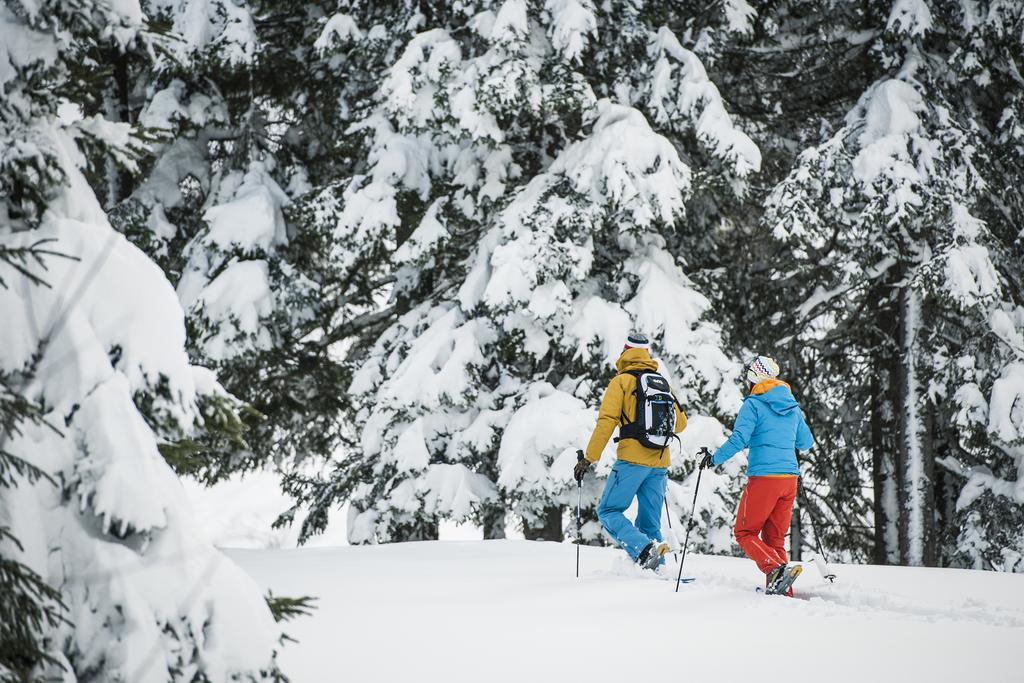 Alpenpension Pfurtscheller Neustift im Stubaital Exterior foto